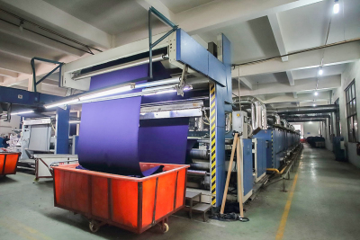 德国门富士定型机